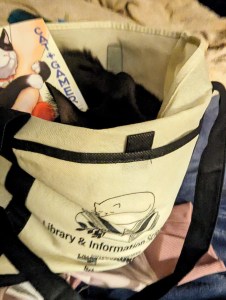 Purrfessor Mewtonium Reading a book in a bag.